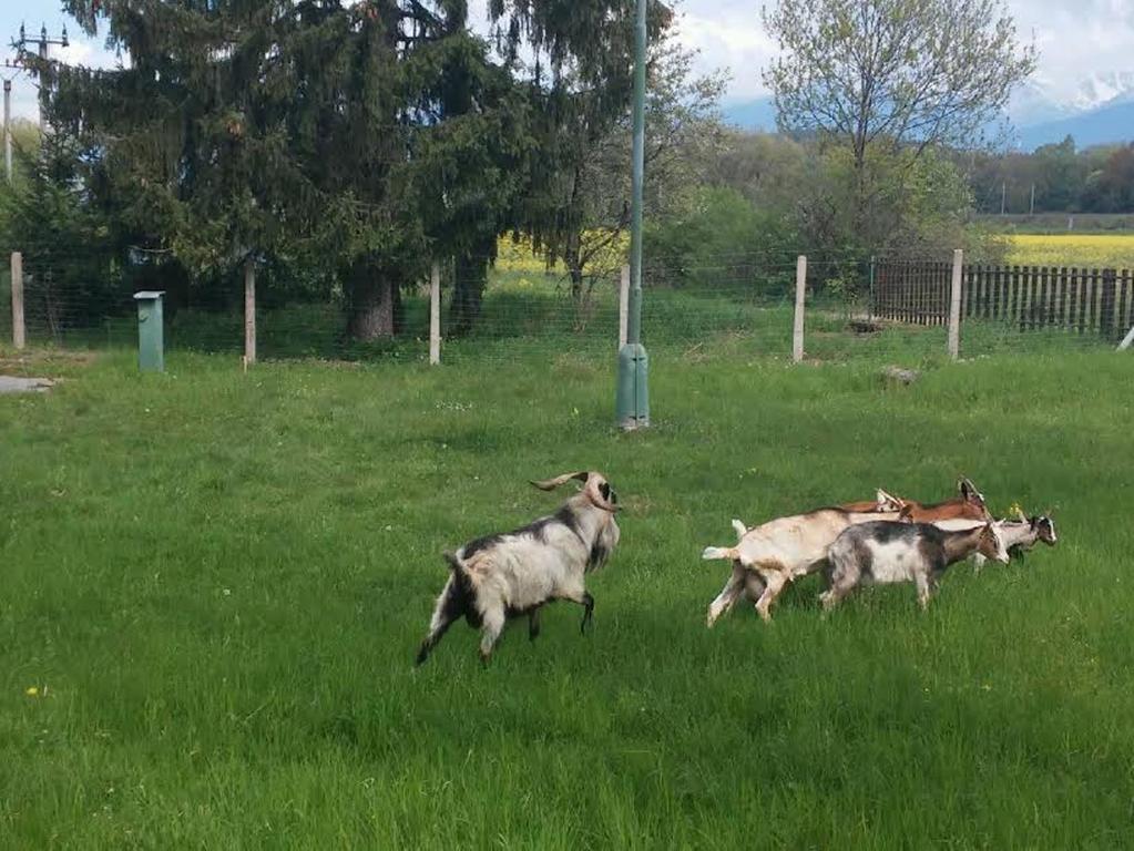 Borova Sihot Atc And Penzion Liptovský Hrádok Εξωτερικό φωτογραφία